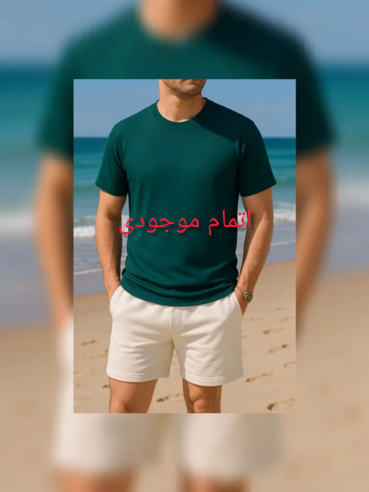 تیشرت مردانه بیسکویتی